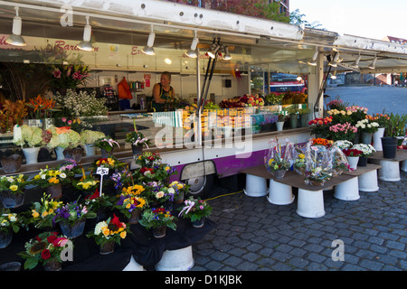 Blume-Stall auf dem Fischmarkt in Hamburg Altona, Deutschland Stockfoto