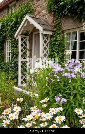 Cottage Garten und Blumen. Argyranthemum frutescens. Beamish Museum, County Durham, England, Großbritannien Stockfoto