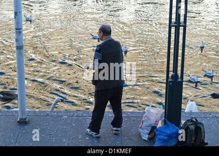 Mann, die Fütterung Schwäne auf der Alster am Jungfernstieg in Hamburg, Deutschland Stockfoto