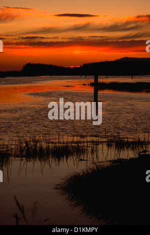 Sonnenuntergang über San Juans, Wa., USA Stockfoto