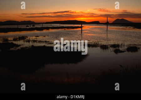 Sonnenuntergang über San Juans, Wa., USA Stockfoto