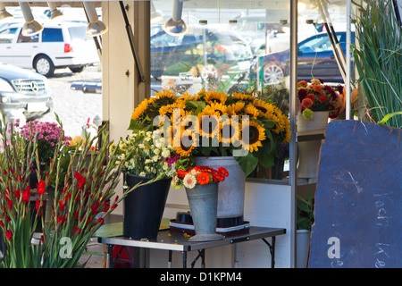 Verkauf von Sonnenblumen in Hamburg Altona, Deutschland Stockfoto