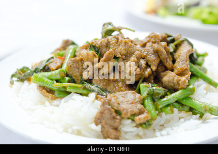 Stir Fry chinesische Cowpea und Schweinefleisch mit Curry-Sauce auf Reis Stockfoto