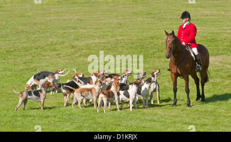 Master und Fox Hounds. Perthshire Land zeigen, Schottland Stockfoto