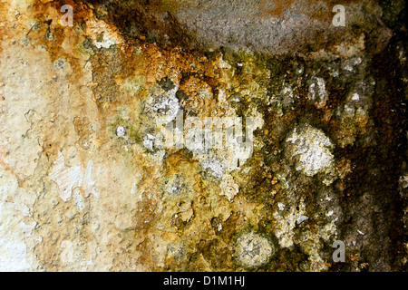 Schließen Sie die Ansicht auf alten verfallenen Mauer der verlassenen Gebäude. Stockfoto