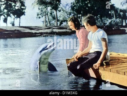 Neue Abenteuer Mit Flipper Flipper neue Abenteuer Pamela Franklin, Luke Halpin nasskalten Flipper Kann Sandy (Luke Halpin, R) sterben Stockfoto