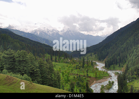 Lidder Fluss auf dem Weg zur Honegg, Jammu & Kaschmir, Indien. 73 Kilometer langer Fluss stammt aus dem Kolhoi-Gletscher Stockfoto