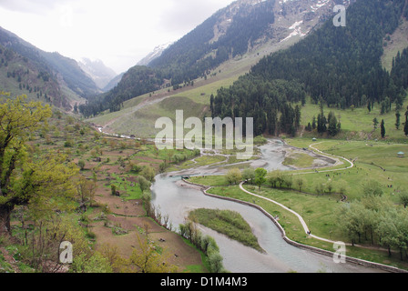 Lidder Fluss auf dem Weg zur Honegg, Jammu & Kaschmir, Indien. 73 Kilometer langer Fluss stammt aus dem Kolhoi-Gletscher Stockfoto