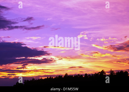 Fantastische Farben von Sonnenaufgang / Sonnenuntergang über der Sonora-Wüste von Arizona. Amerika, USA. Stockfoto