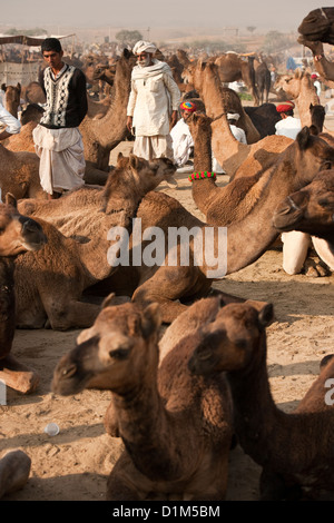 Kamel Händler in Turbanen besuchen das bunte jährliche Kamel fair in der Thar Wüste außerhalb von Pushkar Rajasthan Indien Stockfoto