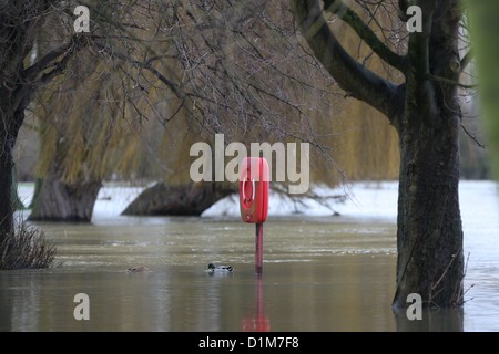 ÜBERFLUTETEN PARK IN HUNTINDON CAMBS, NACHDEM SIE DER FLUSS GREAT OUSE BANKEN PLATZEN. Stockfoto