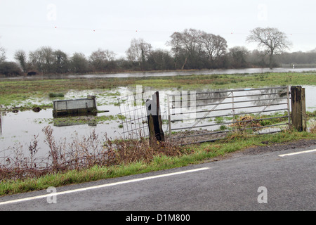 Gateway und überfluteten Felder auf den Somerset Niveaus im Dezember 2012, Unterbrechung der Bauern und der ländlichen Lebensart. Stockfoto