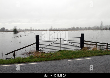 Tor zum überfluteten Felder auf den Somerset Niveaus im Dezember 2012, Unterbrechung der Bauern und der ländlichen Lebensart. Stockfoto