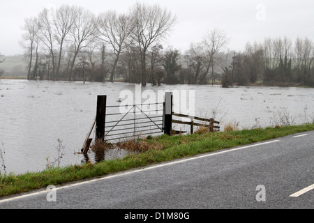 Überfluteten Felder auf den Somerset Niveaus im Dezember 2012, Unterbrechung der Bauern und der ländlichen Lebensart. Stockfoto
