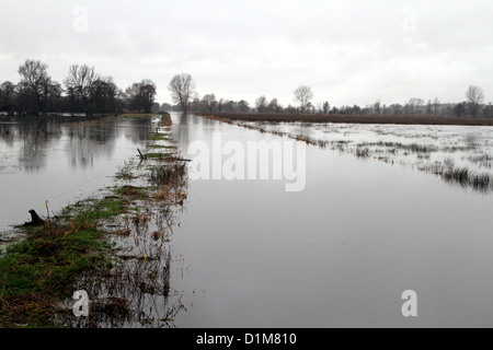 Über fließende Fluss und überschwemmte Felder auf der Somerset Ebene im Dezember 2012, Unterbrechung der Bauern und der ländlichen Lebensart. Stockfoto