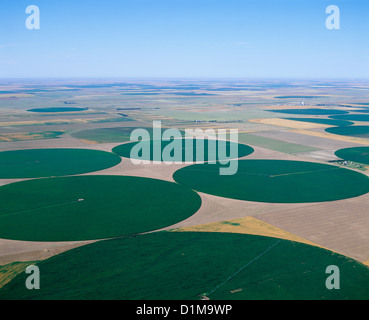 CENTER PIVOT BEWÄSSERUNG VON MAIS / KANSAS Stockfoto