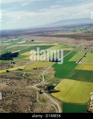 Trockenes LAND MIT bewässerten Flächen Stockfoto