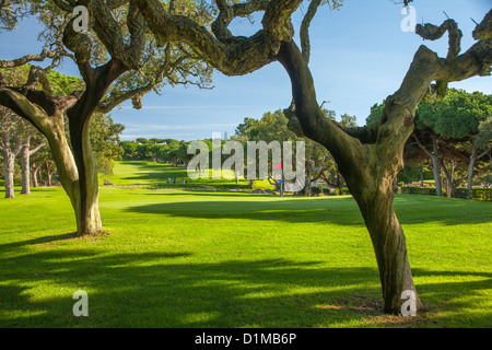 Golfplatz mit knorrigen Korkeichen um grün und Flagge Stockfoto