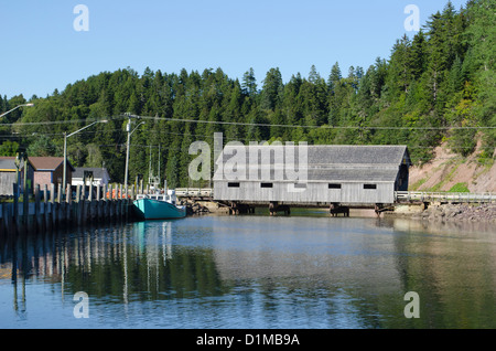 Bay Of Fundy National Park New Brunswick Kanada mit seinen Stränden Wildnis und Leuchttürme Stockfoto