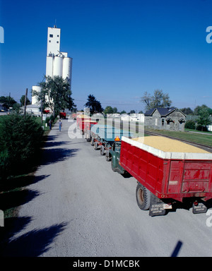 Korn NUTZFAHRZEUGE IN DER SCHLANGE AM ELEVATOR/Illinois Stockfoto