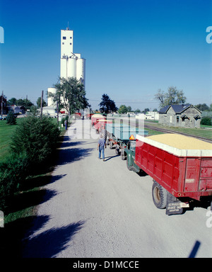 Korn NUTZFAHRZEUGE IN DER SCHLANGE AM ELEVATOR/Illinois Stockfoto