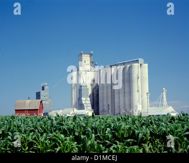 BAUERN CO-OP-AUFZUG / IOWA Stockfoto