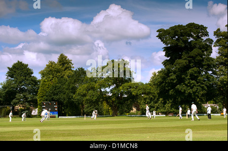 Spiel der Cricket an einem Sommer-Nachmittag in einem englischen Dorf. Knutsford, Cheshire. Stockfoto