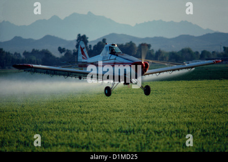 SPRITZEN INSEKTIZID AUF WEIZEN / ARIZONA Stockfoto