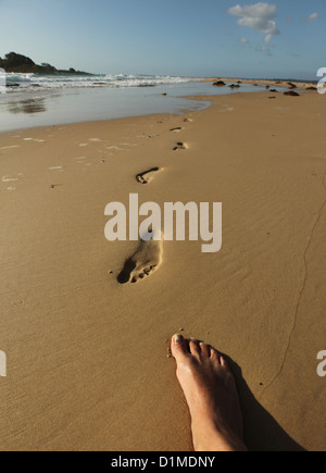 Eine Reihe von menschlichen Spuren im nassen Sand an einem einsamen Strand am frühen Morgen mit dem Fotografen Fuß in Foto Stockfoto