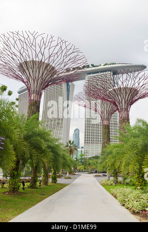 Die Supertree Grove Gardens an der Bucht mit dem Marina Bay Sands in Singapur Hintergrund Stockfoto