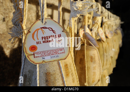 Vico Equense. Italien. Provolone del Monaco Käse im Keller, Caseificio De Gennaro hängen. Stockfoto