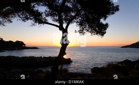 Cala Rajada, Mallorca, Balearen, Spanien. Sonnenaufgang über dem Mittelmeer in Font de Sa Cala. Stockfoto