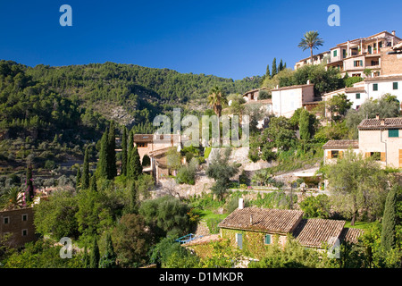 Deià, Mallorca, Balearen, Spanien. Grünen terrassierten Hang unterhalb des Dorfes. Stockfoto