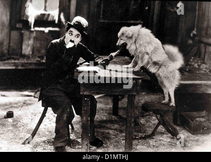 Goldrausch Goldrausch, Charles Chaplin Charlie (Charles Chaplin) Semesters Schütz in Einer Hütte. Lokalen Caption *** 1925-- Stockfoto