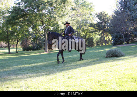 Ein Cowboy auf einem Pferd ziehen einen Weihnachtsbaum Stockfoto