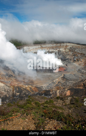 Schwefelsäure-Emission Gaswolke steigt aus dem aktiven Krater im Poás Vulkan Nationalpark, Provinz Alajuela, Costa Rica. Stockfoto