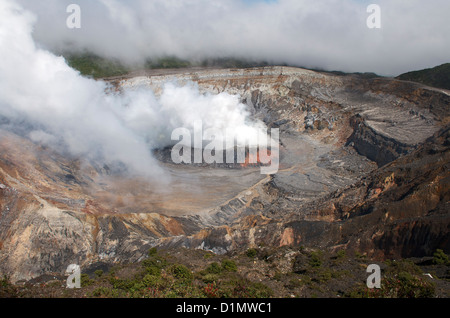 Schwefelsäure-Emission Gaswolke steigt aus dem aktiven Krater im Poás Vulkan Nationalpark, Provinz Alajuela, Costa Rica. Stockfoto