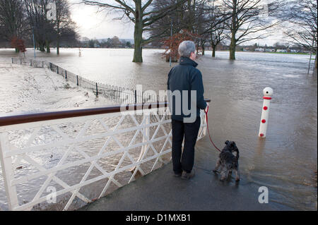 Hereford, Großbritannien. 30. Dezember 2012. Ein Mann und sein Hund haben die Victoria-Hängebrücke zu betrachten das Hochwasser überschritten. Gibt es keinen Zugriff auf die Wiese in Hereford über die Fußgängerbrücke von der Kathedrale entfernt. Der Fluss Wye dürfte ihren Höhepunkt Mitte Morgen naß wie Regenwasser und Oberflächenwasser ROI den walisischen Bergen abtropfen lassen und von benachbarten Land. Die Einheimischen sagen, dass die zu den höchsten in diesem Jahr liegen.  Umleitungen sind auf den Straßen zwischen Hereford und Brecon. Foto von Graham M. Lawrence/Alamy Live-Nachrichten. Stockfoto