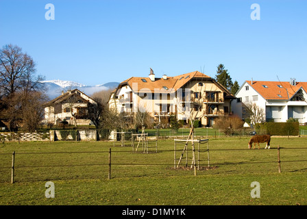 Schweizer Häuser Stockfoto