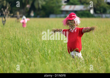 Stroh Vogelscheuche im Reisfeld, Thailand Stockfoto