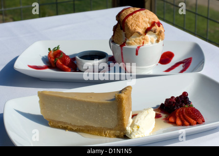 Braunzucker Panna Cotta Käsekuchen & Bombe Alaska Stockfoto