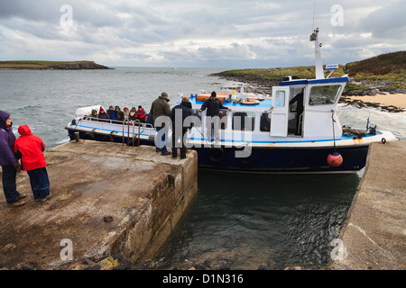 Die Anlegestelle auf Inner Farne, Farne Islands, Northumberland, England Stockfoto