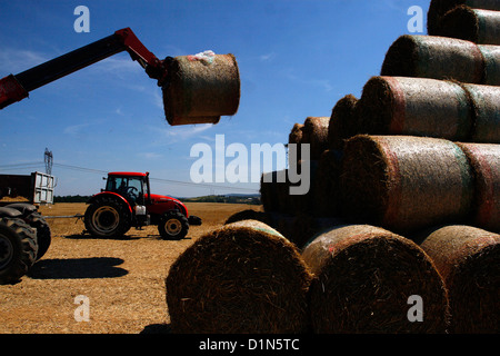 Traktor beladen Rundballen bei einer Hay-Ernte auf offenem Feld Stockfoto