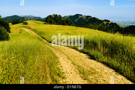 Feldweg zurück in die Ferne durch einen grasbewachsenen Hügel Wiese im Mount Diablo State Park, Contra Costa County in Kalifornien Stockfoto