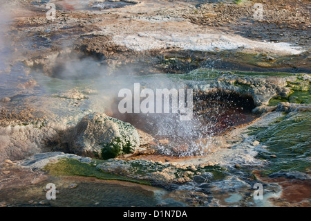 Geothermische Dampfdüsen in Hveravellir entlang der Kjölur Highland in Island Stockfoto