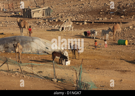 Israel, Negev-Wüste, Hütten in einem Beduinen-Dorf Stockfoto