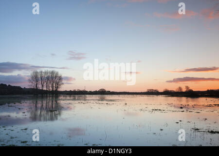 Holmebridge in der Nähe von Wareham, Dorset, UK. 1. Januar 2013.  Felder in der Nähe der Ortschaft Ost Holme weiterhin einen See nach einer weiteren Woche der schweren Regen, wie die nahe gelegenen Fluß Frome Überschwemmungen noch einmal aussehen. Bildnachweis: Eva Worobiec / Alamy Live News Stockfoto