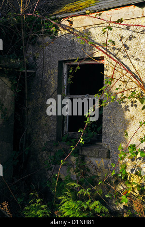 Alten verlassenen Bauernhaus Fenster Stockfoto