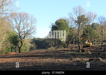 Alten A3 jetzt landschaftlich nach Eröffnung des Tunnels unter Hindhead gemeinsamen, Surrey, England, Großbritannien, Deutschland, UK, Europa Stockfoto