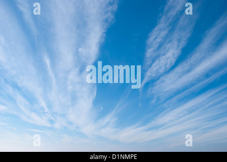 Cirrus oder Stuten Tails Wolken vor blauem Himmel Stockfoto